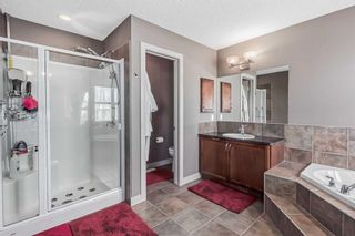 Photo 22: 117 Seagreen Manor: Chestermere Detached for sale : MLS®# A2121597