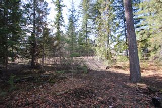 Photo 23: Lot B Zinck Road in Scotch Creek: Land Only for sale : MLS®# 10249220