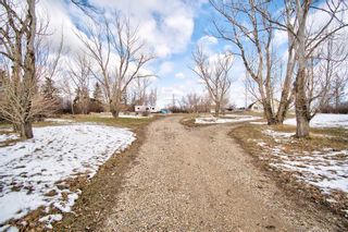 Photo 24: 292164 Township Road 262 in Rural Rocky View County: Rural Rocky View MD Residential Land for sale : MLS®# A2124488