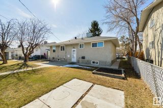 Photo 4:  in Edmonton: Zone 22 House for sale : MLS®# E4289432