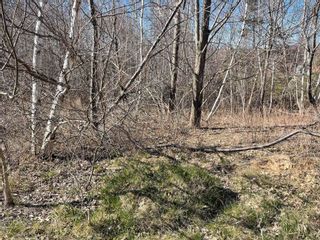Photo 14: Lot 35 Bradley Road in Maclellan's Brook: 108-Rural Pictou County Vacant Land for sale (Northern Region)  : MLS®# 202307508