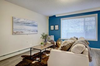 Photo 8: 2 1515 28 Avenue SW in Calgary: South Calgary Apartment for sale : MLS®# A1041285