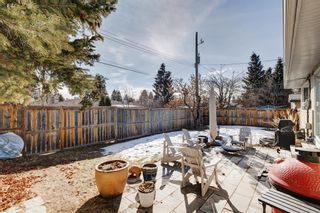 Photo 28: 57 Walnut Drive SW in Calgary: Wildwood Detached for sale : MLS®# A2026146
