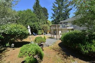 Photo 25: 3734 Epsom Dr in VICTORIA: SE Cedar Hill House for sale (Saanich East)  : MLS®# 817100