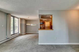 Photo 11: 5D 133 25 Avenue SW in Calgary: Mission Apartment for sale : MLS®# A2068257