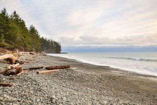Photo 74: 2900 Fishboat Bay Rd in Sooke: Sk French Beach House for sale : MLS®# 955520