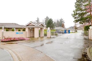 Photo 20: 129 15501 89A Avenue in Surrey: Fleetwood Tynehead Townhouse for sale in "THE AVONDALE" : MLS®# R2248458