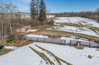 Photo 41: 27342 TWP RD 391: Red Deer Agriculture for sale : MLS®# A2039137