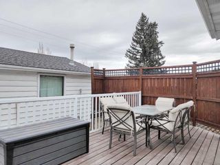 Photo 31: 157 Wilson Crescent: Red Deer Detached for sale : MLS®# A2123370