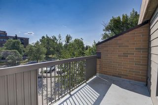 Photo 21: 326 30 Mchugh Court NE in Calgary: Mayland Heights Apartment for sale : MLS®# A1253732