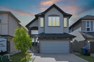 Main Photo: 79 Saddlelake Grove NE in Calgary: Saddle Ridge Detached for sale : MLS®# A2055197
