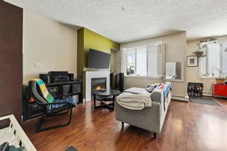 Photo 8: 101 3501 15 Street SW in Calgary: Altadore Apartment for sale : MLS®# A2116828