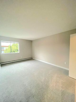 Photo 13: 433 1909 SALTON Road in Abbotsford: Central Abbotsford Condo for sale in "Forest Village" : MLS®# R2866705