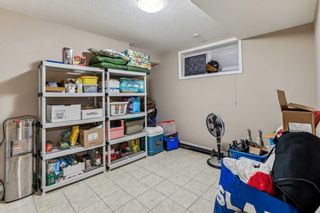 Photo 29: 4538 Montgomery Avenue NW in Calgary: Montgomery Detached for sale : MLS®# A2131411