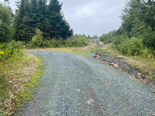 Photo 1: Lot 4 0 Brian Street in East Preston: 31-Lawrencetown, Lake Echo, Port Vacant Land for sale (Halifax-Dartmouth)  : MLS®# 202219025