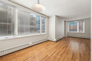 Photo 13: 210 310 8 Street SW in Calgary: Eau Claire Apartment for sale : MLS®# A2146429