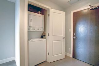 Photo 43: 2206 99 Spruce Place SW in Calgary: Spruce Cliff Apartment for sale : MLS®# A1225419