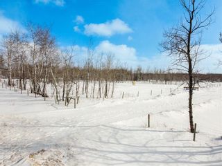 Photo 9: 38008 Mun 50N Road in St Genevieve: Vacant Land for sale : MLS®# 202305087
