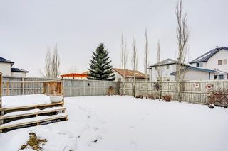 Photo 40: 38 SOMERSIDE Crescent SW in Calgary: Somerset House for sale : MLS®# C4142576