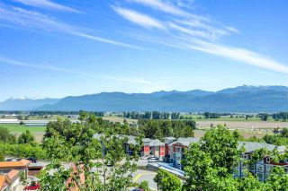 Photo 35: 13 36130 WATERLEAF Place in Abbotsford: Abbotsford East Townhouse for sale in "Vantage South" : MLS®# R2592250