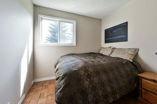 Photo 15: 264 Beddington Circle NE in Calgary: Beddington Heights Detached for sale : MLS®# A1226783