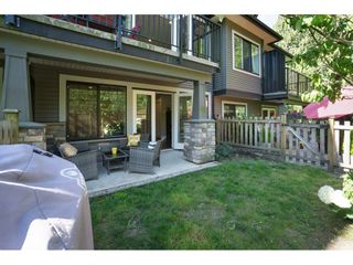 Photo 20: 7 23709 111A Avenue in Maple Ridge: Cottonwood MR Townhouse for sale in "FALCON HILLS" : MLS®# R2192590