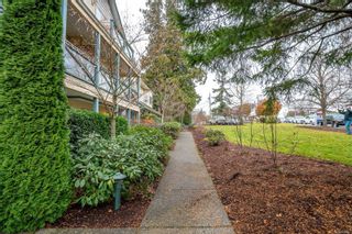 Photo 3: 3 1953 Lisnoe Ave in Central Saanich: CS Saanichton Row/Townhouse for sale : MLS®# 920168