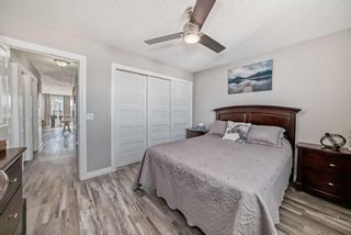 Photo 22: 2711 46 Street SE in Calgary: Dover Semi Detached (Half Duplex) for sale : MLS®# A2123114