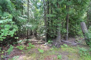 Photo 3: Lot 96 Crowfoot Drive in Anglemont: North Shuswap Land Only for sale (Shuswap)  : MLS®# 10158355
