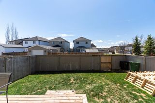 Photo 24: 1027 Copperfield Boulevard SE in Calgary: Copperfield Detached for sale : MLS®# A1215473