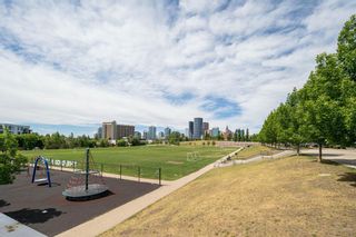 Photo 31: 335 950 Centre Avenue NE in Calgary: Bridgeland/Riverside Apartment for sale : MLS®# A1121925