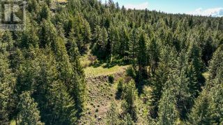 Photo 63: LOT 4 WHITETAIL Place in Osoyoos: Vacant Land for sale : MLS®# 198188