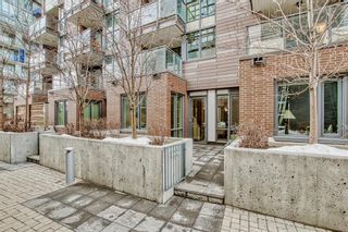 Photo 40: 122 619 Confluence Way SE in Calgary: Downtown East Village Apartment for sale : MLS®# A2044567