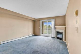 Photo 8: 315 1000 Citadel Meadow Point NW in Calgary: Citadel Apartment for sale : MLS®# A1221381