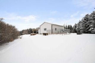 Photo 5: 2223 Township Road 303: Rural Mountain View County Detached for sale : MLS®# A2111841