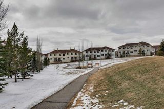 Photo 20: 217 Sunset Point: Cochrane Row/Townhouse for sale : MLS®# A2120759