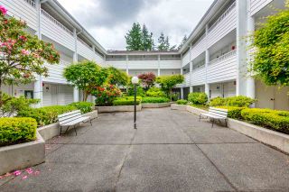 Photo 2: 112 707 EIGHTH Street in New Westminster: Uptown NW Condo for sale : MLS®# R2176716