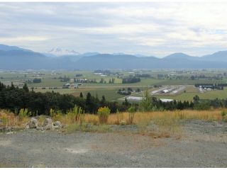 Photo 1: 36428 FLORENCE Drive in Abbotsford: Abbotsford East Land for sale in "Falcon Ridge" : MLS®# F1319615