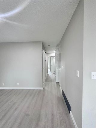 Photo 9: 918 40 Street SE in Calgary: Forest Lawn Semi Detached (Half Duplex) for sale : MLS®# A2132383