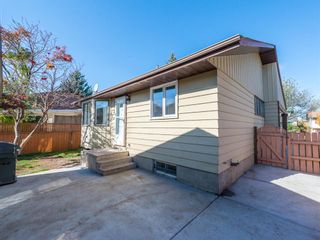 Photo 26: 51 Templewood Mews NE in Calgary: Temple Detached for sale : MLS®# A1039525
