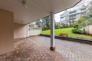 Photo 10: 101 11605 227 Street in Maple Ridge: East Central Condo for sale : MLS®# R2230629