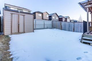 Photo 29: 104 Kingsmere Cove SE: Airdrie Detached for sale : MLS®# A2019802