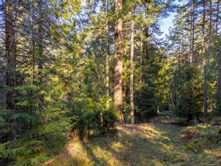Photo 13: 3203 Clam Bay Rd in Pender Island: GI Pender Island Land for sale (Gulf Islands)  : MLS®# 896407