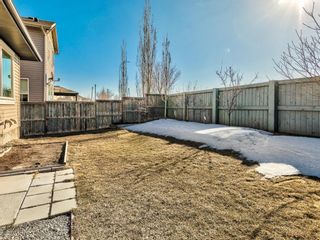 Photo 31: 236 Chapalina Heights SE in Calgary: Chaparral Detached for sale : MLS®# A1078457