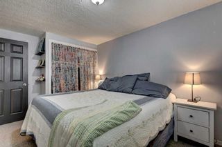 Photo 19: 3912 30 Avenue SE in Calgary: Dover Row/Townhouse for sale : MLS®# A2143440