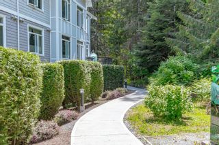 Photo 38: 202 595 Latoria Rd in Colwood: Co Olympic View Condo for sale : MLS®# 932350