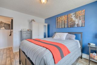 Photo 26: 306 315 Heritage Drive SE in Calgary: Acadia Apartment for sale : MLS®# A1090556