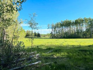 Photo 5: LOT A WRIGHT Road in Charlie Lake: Fort St. John - Rural W 100th Land for sale (Fort St. John)  : MLS®# R2700046