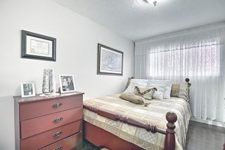 Photo 36: 28 Queen Isabella Close SE in Calgary: Queensland Detached for sale : MLS®# A1208214