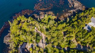 Photo 4: 392 Reef Point Rd in Ucluelet: PA Ucluelet Land for sale (Port Alberni)  : MLS®# 912992